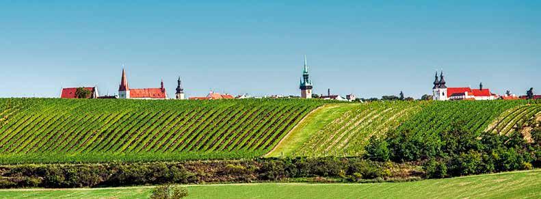 typická současná delikátní aromatická jedinečná elegantní charakteristická dostupná sympatická sauvignon plná typická současná delikátní aromatická jedinečná elegantní charakteristická plná ryzlink