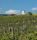 Vinice Hnanice, 15 s.r.o. 16 Vinařství HANZEL, s.r.o. Společnost hospodaří na 270 ha vinic v Hnanicích, Jaroslavicích a Vrbovci.
