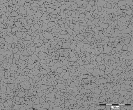 Microstructure of the steel formed from the temperature 1200 C by stress 60 % 5.
