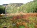 690-26.650, PB km 25.504, sil. most km 25.160, Kraslice km 24.