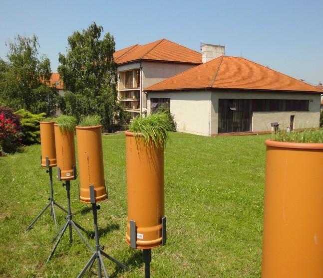 V roce 2013 byl aktivní biomonitoring provozován na 7 stanovištích. Vzorky jílku jsou odebírány v pravidelných 4 týdenních intervalech, vzorky jehličí se odebírají 2x ročně.