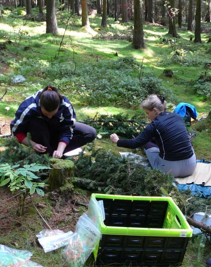 Zaměření A): Ekofyziologie rostlin pod vlivem faktorů prostředí A1-1. Vyhodnocení environmentálních vlivů povrchové těžby postavené na analýze dat hyperspektráního sensoru HyMap.