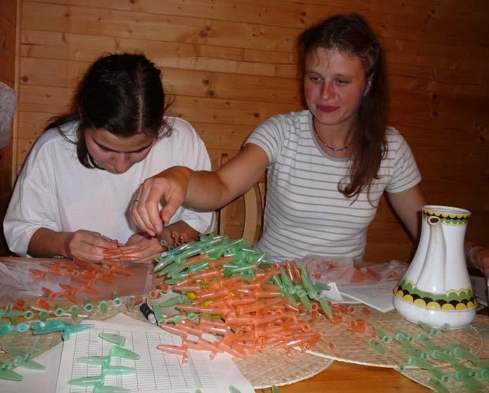 Na úrovni struktury mezofylu smrkových jehlic však nebyly v předchozí studii zaznamenány změny.