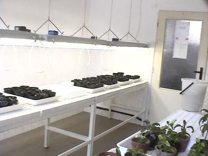 Pokrokové metody referenčních laboratoří byly využity k seznámení se s nimi potenciálních účastníků budoucího twinningového projektu pro zvýšení znalostí před výjezdy na zahraniční pracoviště
