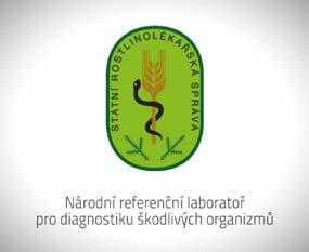 S. Kozelskou pokračovalo do 30. 9. 2010, kdy ji krátkodobě nahradil její zástupce J. Horký a SRS dále paralelní úvazek dlouholeté vedoucí pracovnice nepodpořila.
