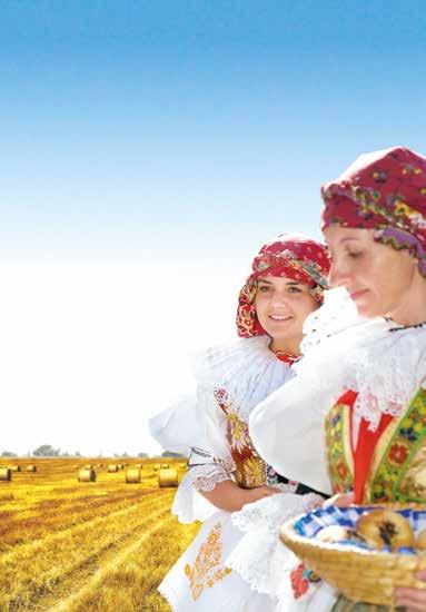 00 Dožínkový průvod 11.00 Slavnostní zahájení předání dožínkového věnce hospodáři 11.30 Regionální potravina Zlínského kraje předání ocenění 14.30 Ze zrnéček klásky pořad dětského folkloru 16.