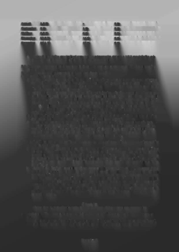 ~-------I---._.-._ ----,_ -------.- '-1-----.-.--- _..-.----... - I August 1,6 0/0-8 0 /0 r-' -- 12--- - -- -- ---- --,-.--------... -. September, 2 % i 1 0/0 80/0 rnt;.----rc------ -- - - - -.._-... -.._.-..- --.._.---. ---_.