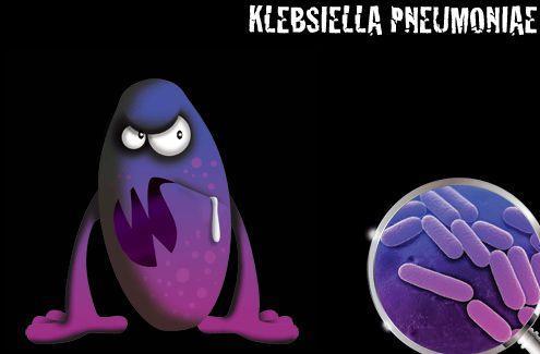 Bariérový režim: * PŮVODCE - KLEBSIELLA PNEUMONIAE ESBL+ *CHARAKTERISTIKA - přenos přímo rukama pacientů i personálu nepřímo, prostřednictvím kontaminovaných nástrojů, předmětů, event.