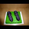 D0102-690,- 120 -