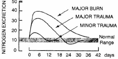 8x Hypocaloric high protein feeding?