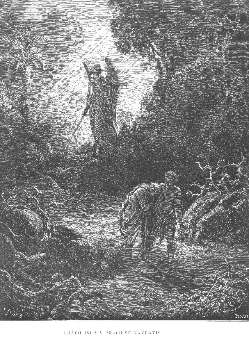pokračuje v započaté logické linii. Z líčení ukázky nelze poznat, z jakého překladu Bible vychází, v knize Genesis např.