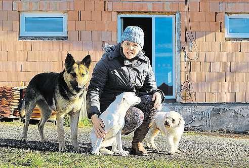 Dvanáct. To se stalo tak před šesti lety a ještě před dvěma lety,kdy někdo vyhodil fenečku, která za tři neděle měla devět černých štěňat. Měla jsem je doma, to byly hezké Vánoce.