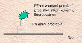 napínání histologických řezů optimalizace