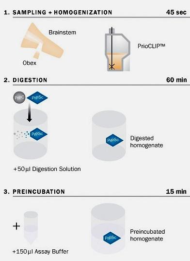 Prionics-Check LIA test