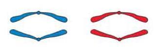 chromatidami shodně orientované sesterské kinetochory v meiose I centromery se oddělují až v anafázi II, v anafázi I zůstávají spojené genetická informace vzniklých buněk se liší od