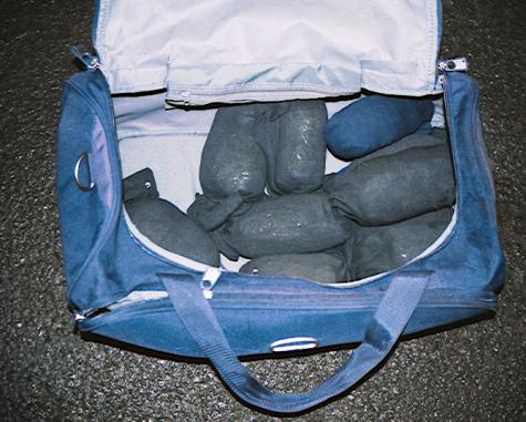 Akce ALOHA Po jednoročním prověřování bylo ve spolupráci se zásahovou jednotkou Správy Severočeského kraje, policisty sluţby kriminální policie a vyšetřování v Teplicích a policisty Cizinecké a