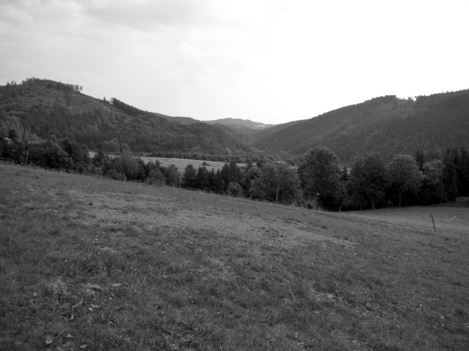 4: View of the Svratka River Valley at Koroužné. In the backgroud the Zubštejn Ridge (680 m), at foot of the ridge surface of the Kobylnice level is situated ended by steep forested scarps.