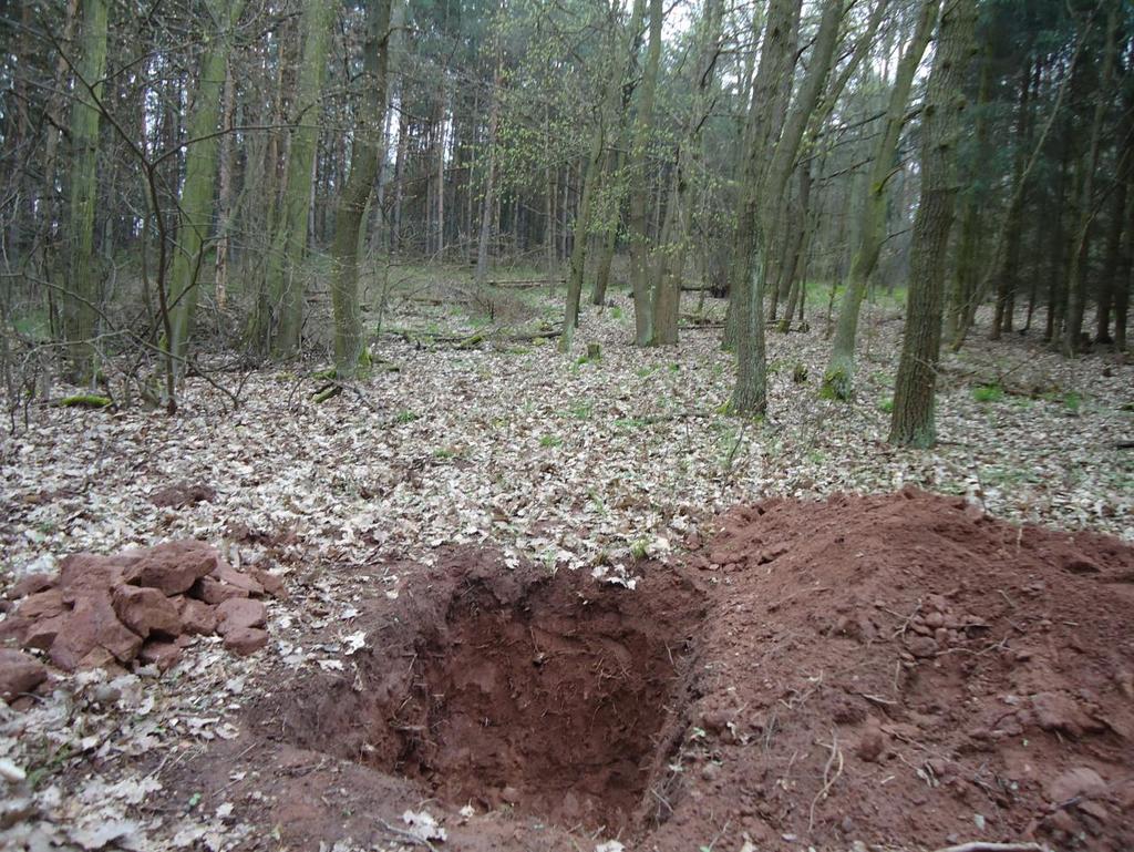 Obrázek č.