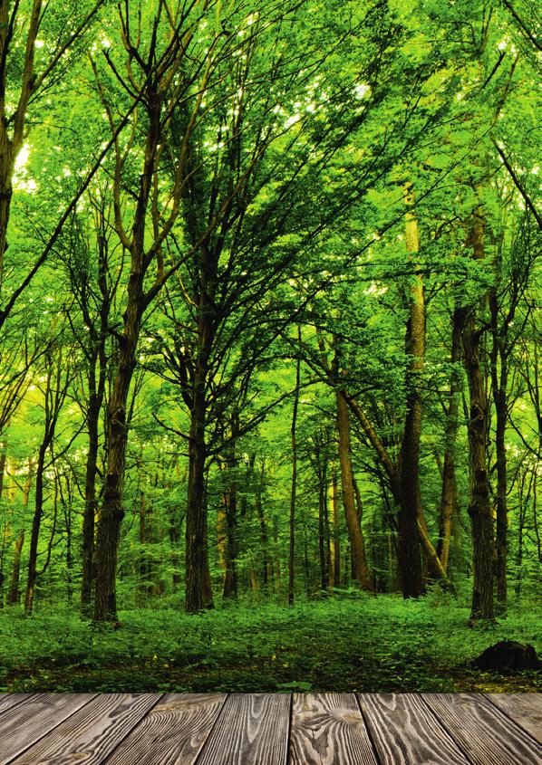 ecoplus funkcia úspory energií