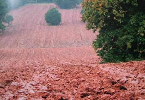 ha (EUROSTAT) Stav českého zemědělství v období let 2001/2002 Celková rozloha 7886 tis ha Počet