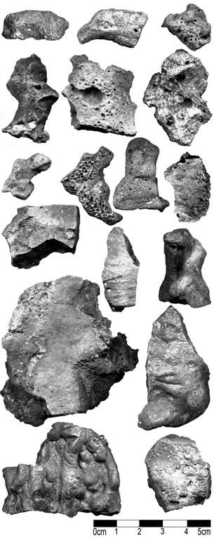 Slags of Pb-Ag ore, found on the deposit (pool west, stratum 1165, excavation 2010). Photo P. Duffek.