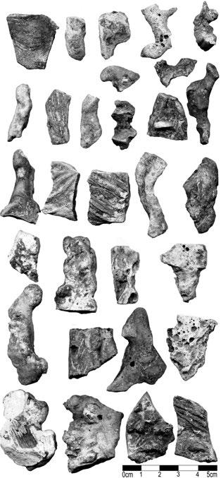 Acta rerum naturalium 12, 145 180, 2012 ISSN 1801 5972 Černov Cvilínek Topografie: Der Wiesengrund Cvilínek befindet sich 570 m nordöstlich der Mitte des Dorfes Černov.