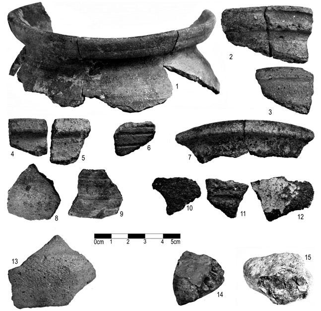 Acta rerum naturalium 12, 145 180, 2012 ISSN 1801 5972 Obr. 13. Výběr keramiky 13. století z různých nálezových kontextů na výzkumné ploše.