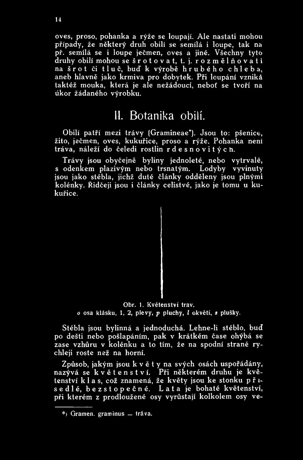 Trávy jsou obyčejně byliny jednoleté, nebo vytrvalé, s odenkem plazivým nebo trsnatým. Lodyby vyvinuty jsou jako stébla, jichž duté články odděleny jsou plnými kolénky.