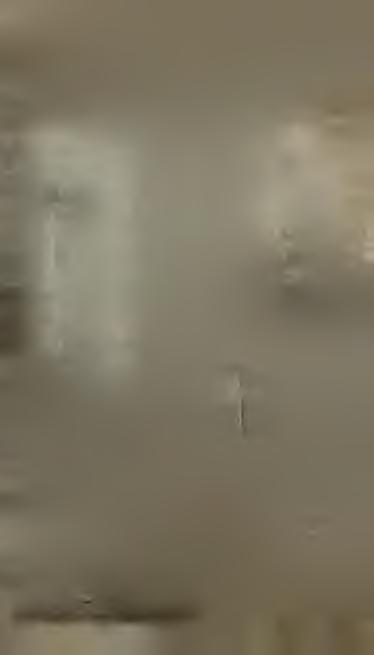 polská,