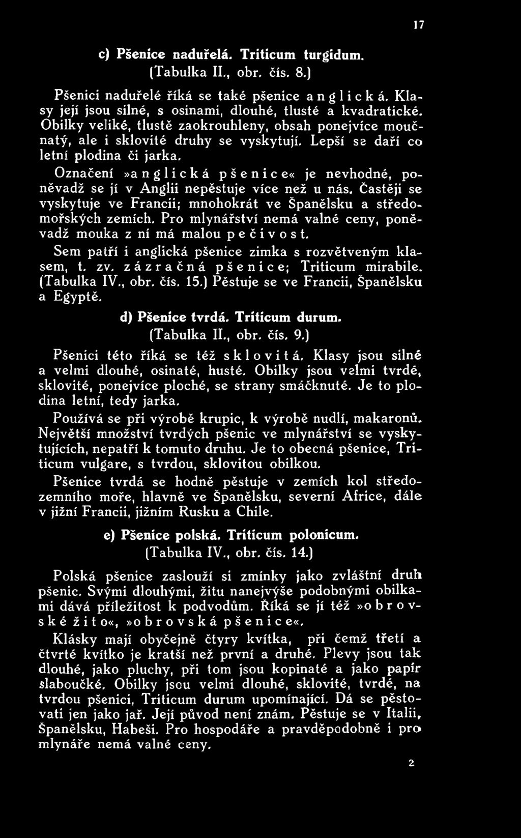 Označení»a n g 1 i c k á p š e n i c e«je nevhodné, poněvadž se jí v Anglii nepěstuje více než u nás. Častěji se vyskytuje ve Francii; m nohokrát ve Španělsku a středomořských zemích.