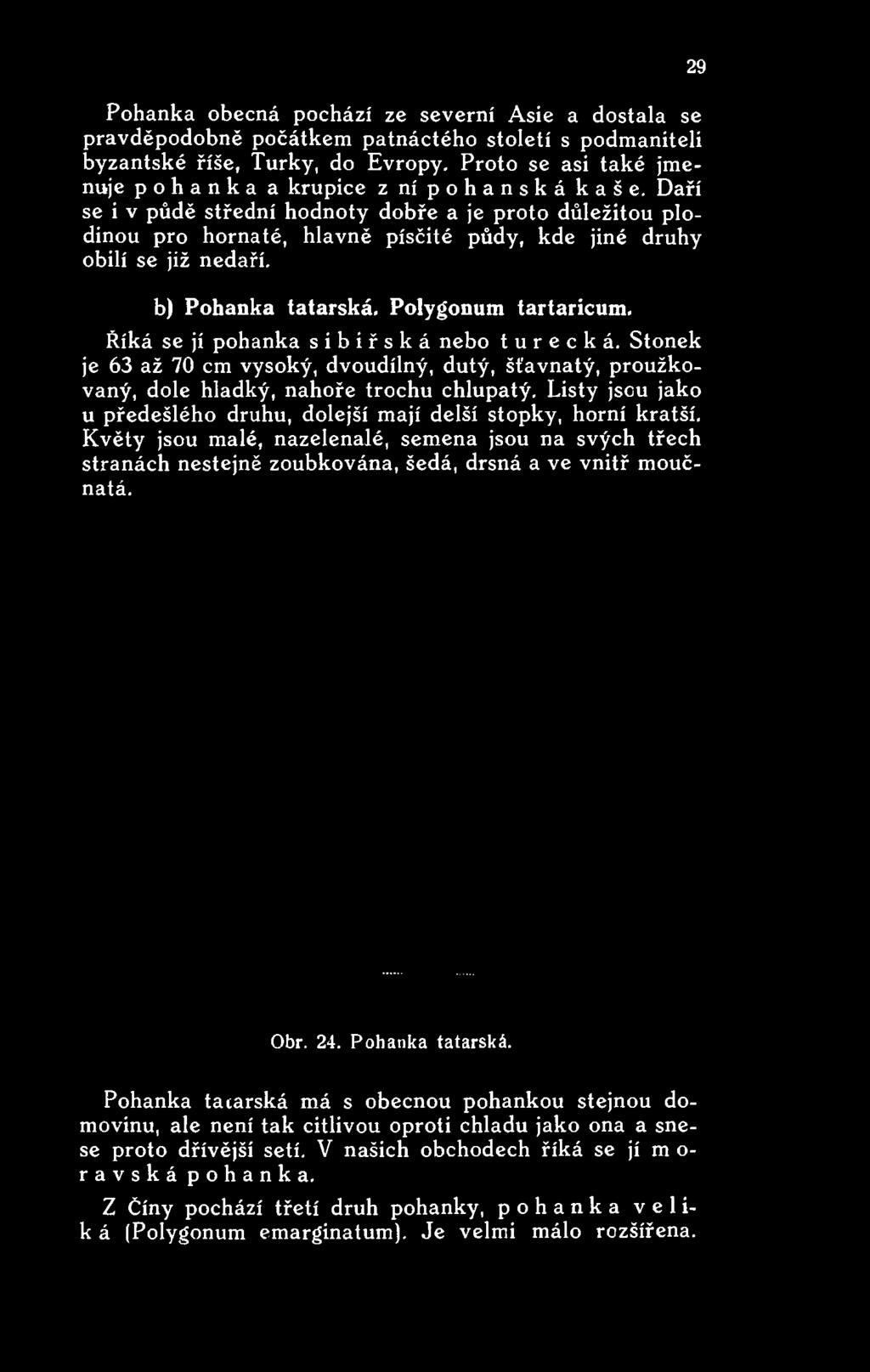 Daří se i v půdě střední hodnoty dobře a je proto důležitou plodinou pro hornaté, hlavně písčité půdy, kde jiné druhy obilí se již nedaří. b) Pohanka tatarská.