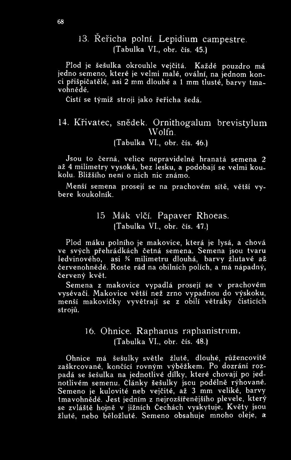 Křivatec, snědek. Ornithogalum brevistylum W o lfn. (Tabulka VI., obr. čís. 46.) Jsou to černá, velice nepravidelně hranatá semena 2 až 4 milimetry vysoká, bez lesku, a podobají se velmi koukolu.