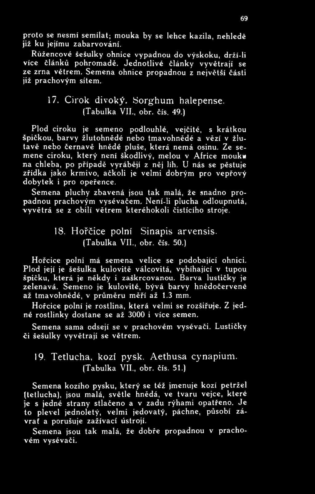 ) Plod ciroku je semeno podlouhlé, vejčité, s krátkou špičkou, barvy žlutohnědé nebo tmavohnědé a vězí v žlutavě nebo černavě hnědé pluše, která nemá osinu.