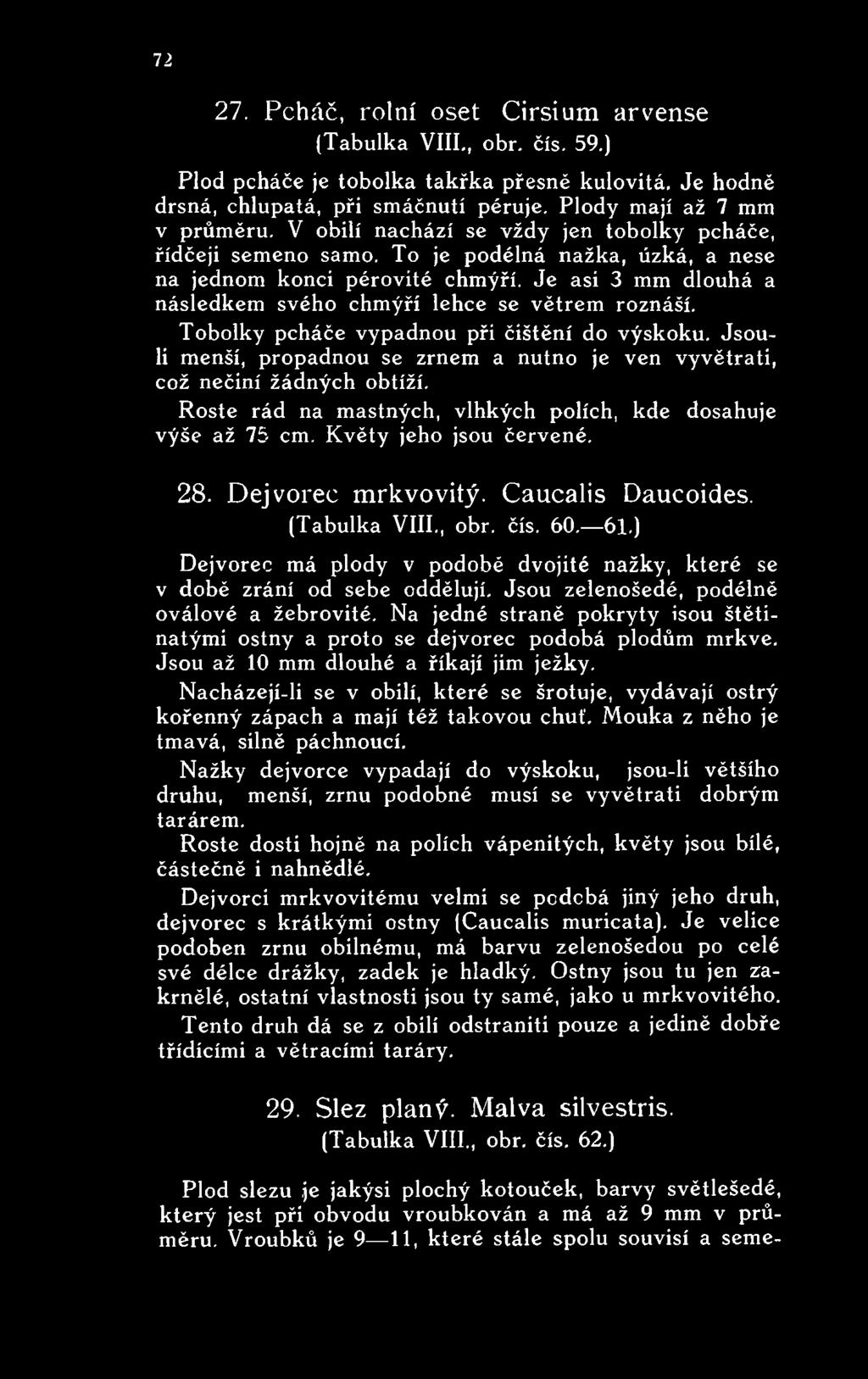 Tobolky pcháče vypadnou při čištění do výskoku. Jsouli menší, propadnou se zrnem a nutno je ven vyvětrati, což nečiní žádných obtíží. Roste rád na mastných, vlhkých polích, kde dosahuje výše až 75 em.