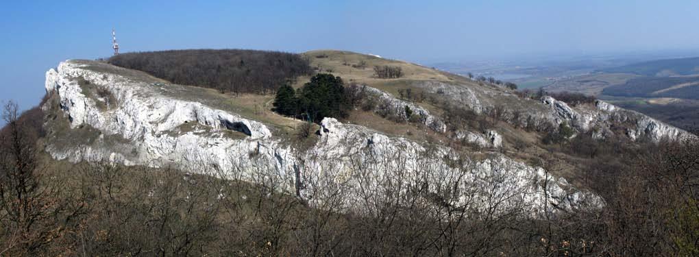 mezozoikum