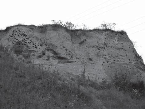 PŘÍSPĚVEK K POZNÁNÍ DEPOZIČNÍHO PROSTŘEDÍ SEDIMENTŮ SPODNÍHO BADENU NA LOKALITĚ OSLAVANY Some remarks to the knowledge about depositional environment of Lower Badenian deposits at Oslavany 17