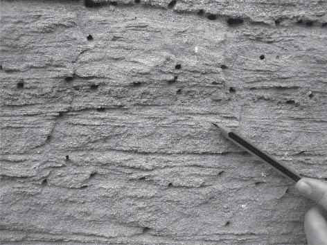 18 Lokalita byla zapsána do databáze dokumentačních bodů ČGS a do databáze významných geologických lokalit tamtéž.