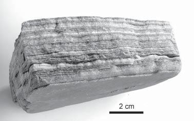 muni.cz 35 (15 41 Hlučín) Key words: Miocene sediments, gypsum, fluid inclusions Abstract Fluid inclusions found in gypsum from Kobeřice told us lot of information about forming conditions during