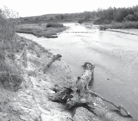 54 Osek nad Bečvou (viz obr. 2 a 3) Toto nálezové místo se nachází 1,6 km jjz. od kostela v Oseku nad Bečvou.