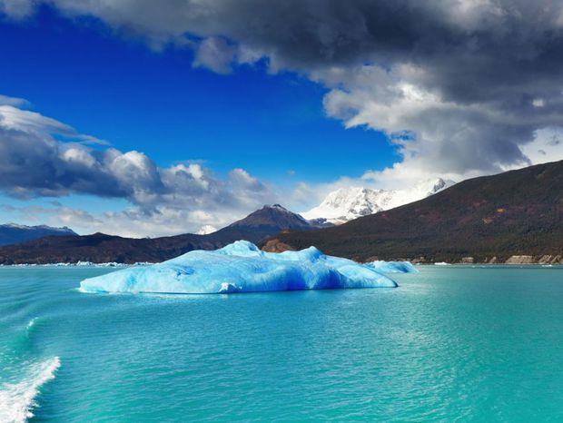 Argentino