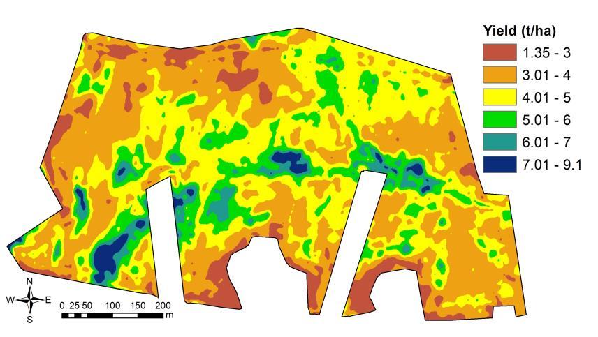 Z naměřených dat sklízecí mlátičkou byla následně pomocí GIS software vyčištěny extrémní nereálné hodnoty a vygenerována výnosová mapa (Obr. 20).