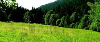 NEGATÍVNE VPLYVY Územie je severozápadnou hranicou rozšírenia troch veľkých šeliem na Slovensku (medveď hnedý, vlk dravý, rys ostrovid). Nemožno nespomenúť početné zastúpenie vtákov.