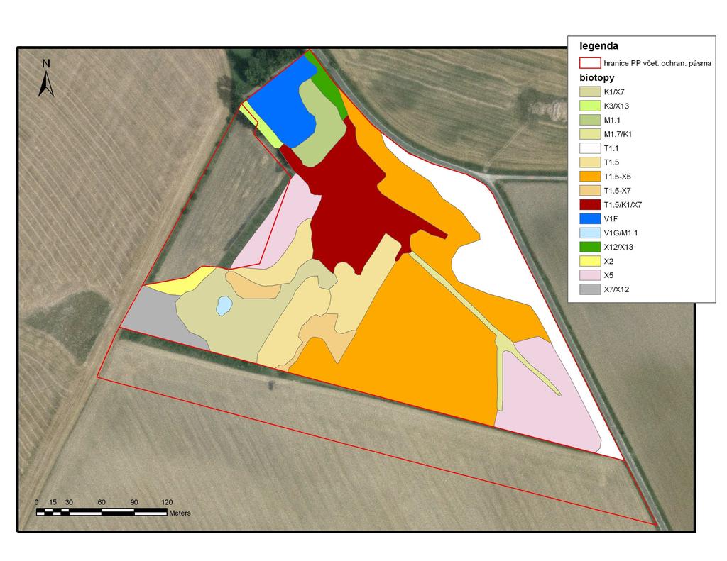 Obr 2: Mapa aktuální vegetace PP Uherčická louka, stav v r. 2008. K17/X7 mokřadní vrbiny (sv. Salicion cinereae) s porosty terestrických rákosin, K3/X13 mezofilní křoviny (sv.