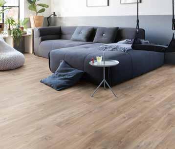 AMCL 40035 BACL 40127 PUCL 40075 BACL 40031