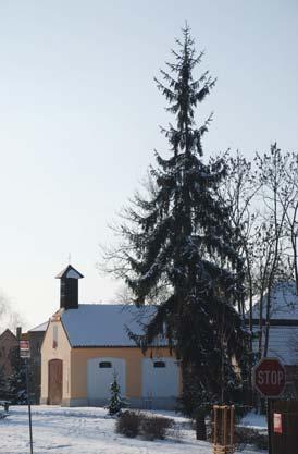 Rozhodně půjdou všechny na investice, urychlíme akce, které máme připraveny v rámci dlouhodobějších plánů.