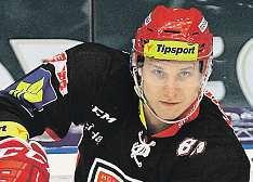 Až do roku 2013 hrál v Českých Budějovicích a sbíral střídavé straty v nižších soutěžích. Nikdy nepatřil k hlavním oporám. Naplno se rozjel až po přesunu extraligového hokeje do Hradce Králové.