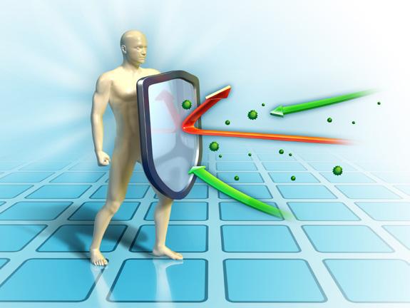 REPORTÁŽ MDSC se krom zmíněné transformace ještě dále přeměňují na tzv. TAM (tumor associated macrophages), zmutované, s nádorem sdružené makrofágy.