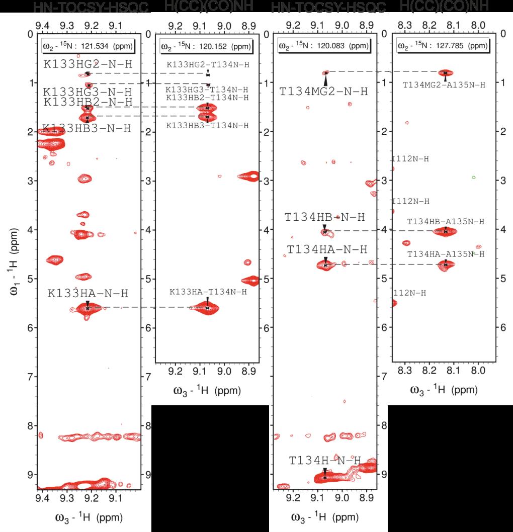 Obr. 34 2D řezy spektry HN-TOCSY-HSQC a H(CC)(CO)NH Chemické posuny jader vodíků se obecně často překrývají (nejen na diagonále) viz Obr. 9, str.