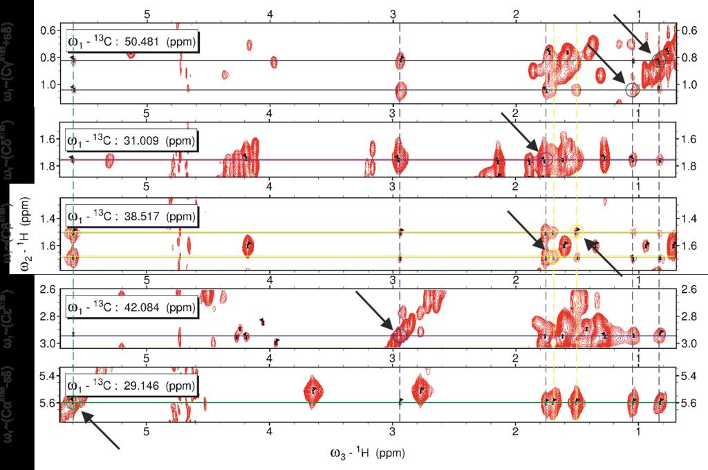 Obr. 35 2D řezy spektrem HCCH-TOCSY Ve všech řezech je patrný diagonální signál konkrétního atomu vodíku (vyznačen šipkou a zakroužkovaný).