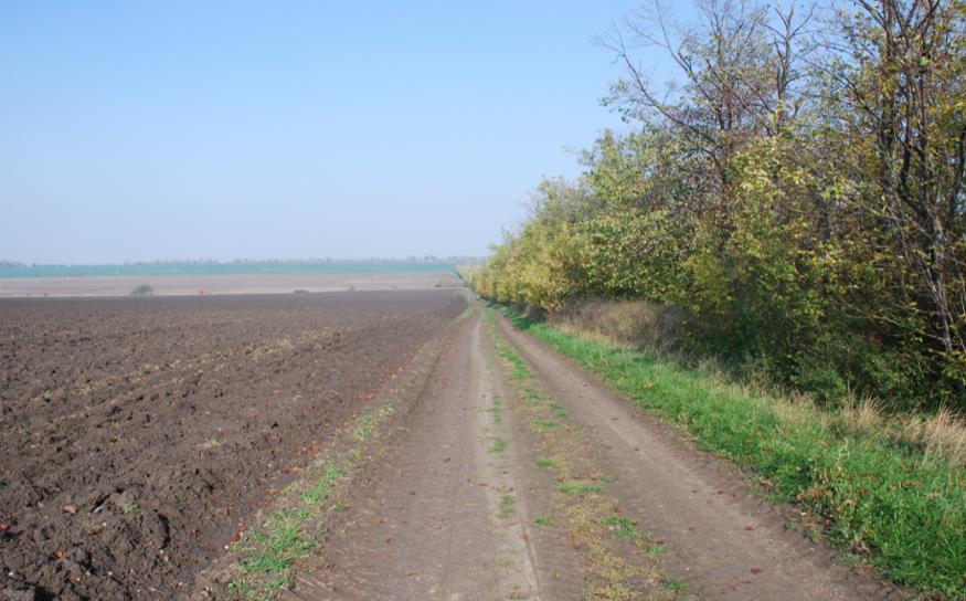 určeného pro realizaci lesních a lučních segmentů.